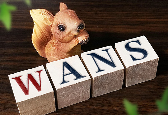 株式会社Wansとは